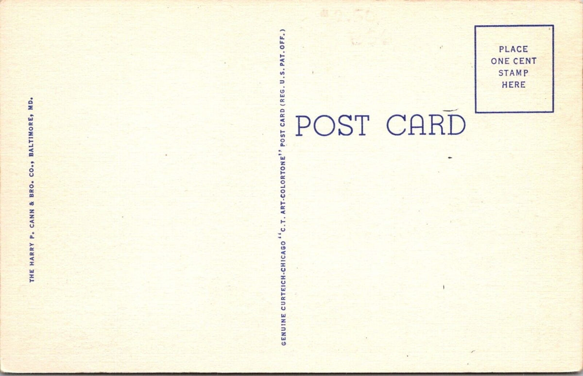 Vintage Postcard Municipal Building Laurel Del Genuine Curteich Chicago Linen