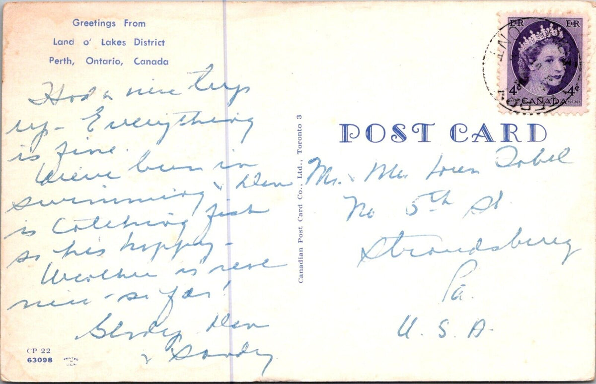 Black Bear Standing Up Vintage Postcard Land O' Lakes District Perth Ontario CAN