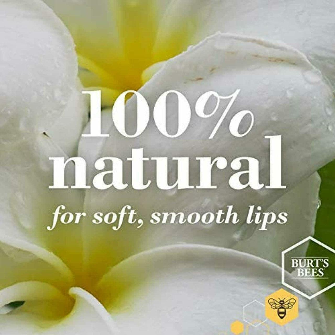 Burt's Bees 100% Natural Moisturizing Lip Butter with Rosemary & Lemon - Suthern Picker