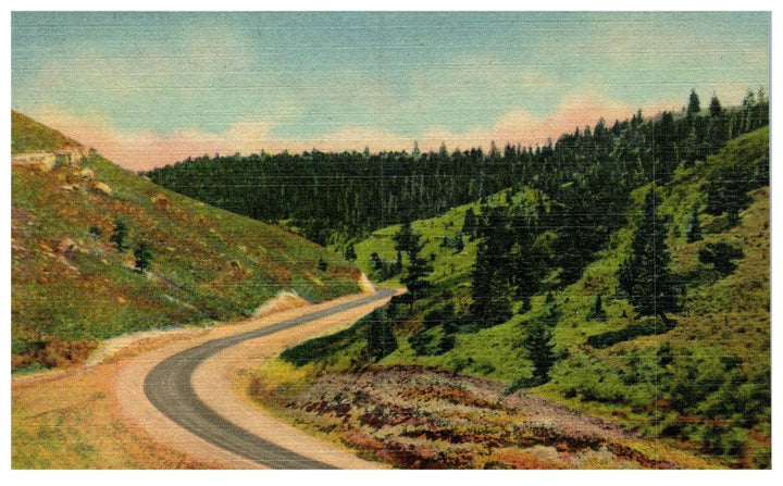 Telephone Caron U.S. 90 Sherman Hill Vintage Postcard Linen Cheyenne Laramie WY - Suthern Picker