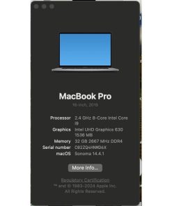 Apple MacBook Pro 8 Core i9 16