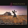 Pink Floyd CD Collection Of Great Dance Songs - Suthern Picker