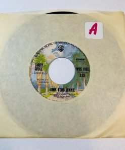 Larry Groce Junk Food Junkie / Muddy Boggy Banjo Man 45 RPM Vinyl Record 1 - Suthern Picker
