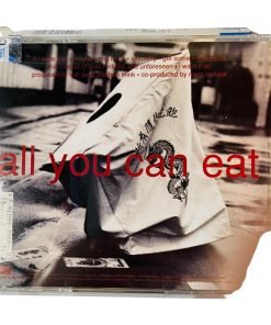 K.D. Lang All You Can Eat Audio Music CD Good Warner Bros. - Suthern Picker