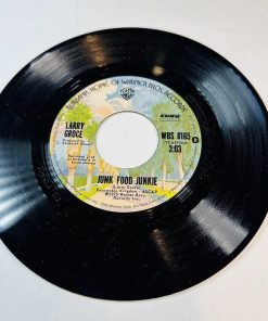 Larry Groce Junk Food Junkie / Muddy Boggy Banjo Man 45 RPM Vinyl Record 1 - Suthern Picker