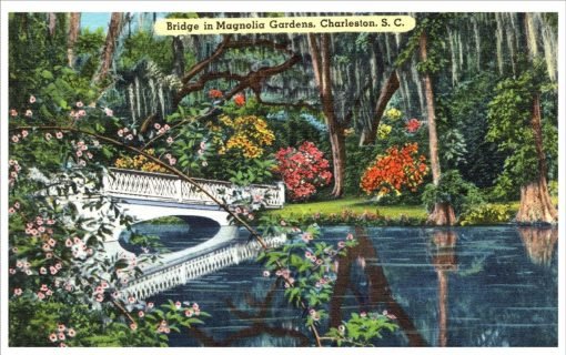 Bridge In Magnolia Gardens Charleston South Carolina Vintage Linen Postcard - Suthern Picker