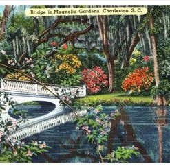 Bridge In Magnolia Gardens Charleston South Carolina Vintage Linen Postcard - Suthern Picker