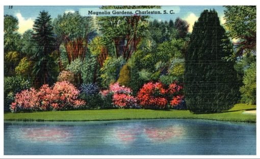 Magnolia Gardens Charleston South Carolina Vintage Linen Postcard Standard Size - Suthern Picker
