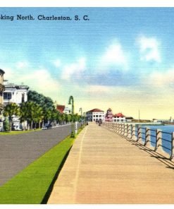 East Battery Looking North Charleston South Carolina Vintage Postcard Standard - Suthern Picker