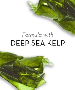 Olay Cleansing Infusion Hydrating Body Wash Deep Sea Kelp 22 oz - Suthern Picker