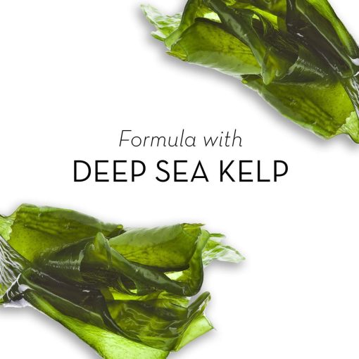 Olay Cleansing Infusion Hydrating Body Wash Deep Sea Kelp 22 oz - Suthern Picker