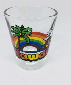 Hawaii Collectible Shot Glass Rainbow Palm Tree Coconut Island - Suthern Picker