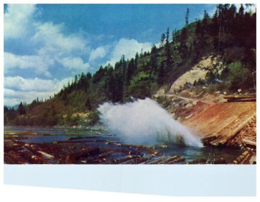 Log Pond Vintage Postcard Unknown Location Kodachrome - Suthern Picker