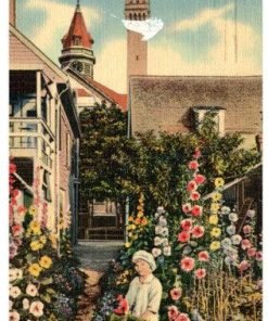 Hollyhock Lake At Provincetown On Historic Cape Cod Vintage Linen Postcard MA - Suthern Picker
