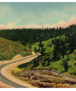 Telephone Caron U.S. 90 Sherman Hill Vintage Postcard Linen Cheyenne Laramie WY - Suthern Picker