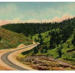 Telephone Caron U.S. 90 Sherman Hill Vintage Postcard Linen Cheyenne Laramie WY - Suthern Picker