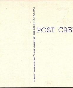 Tobacco Sale An Ever Interesting Scene Vintage Linen Postcard S-522 Unposted - Suthern Picker