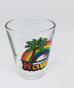 Hawaii Collectible Shot Glass Rainbow Palm Tree Coconut Island - Suthern Picker