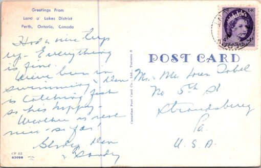 Black Bear Standing Up Vintage Postcard Land O' Lakes District Perth Ontario CAN - Image 2