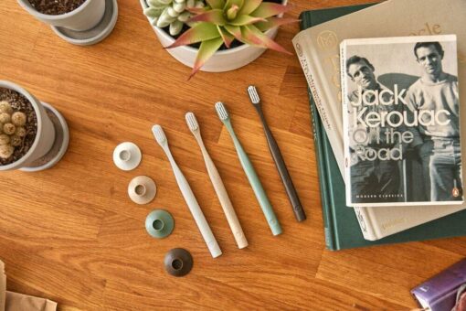 Bogobrush Compostable Toothbrush with Soft Nylon Bristles Stand in Coffee Brown - Image 6
