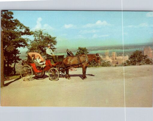 Old French Horsedrawn Carriage Mount Royal Montreal Canada Postcard PM Cornwall