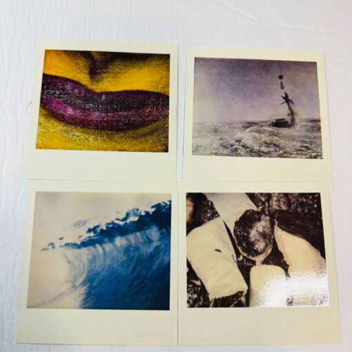 Pearl Jam No Code Album CD With Artwork Booklet Polaroids - Image 6