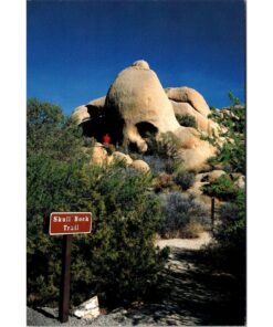 Vintage 1985 Skull Rock Trail Joshua Tree National Park Postcard