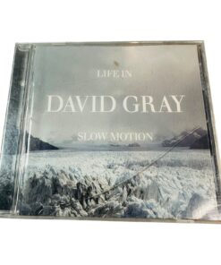 Life In Slow Motion By David Gray Audio CD ATO/RCA Records Marius de Vries