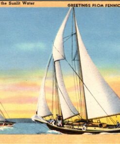 Vintage Tichnor Sailing Postcard ''Greetings From Fenwick Island Delaware''