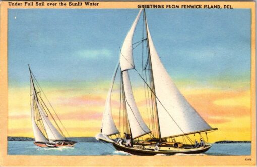 Vintage Tichnor Sailing Postcard ''Greetings From Fenwick Island Delaware''